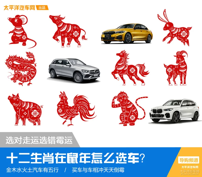 选对走运选错霉运 十二生肖在鼠年怎么选车？
