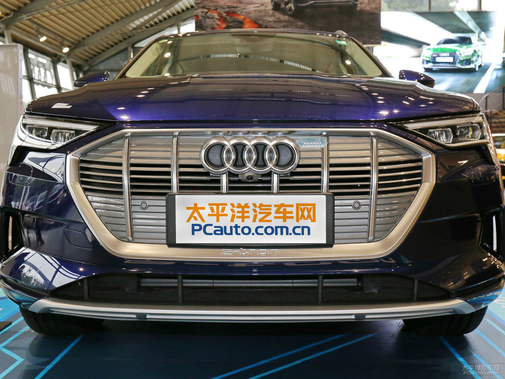 納瓦拉藍(lán)奧迪e-tron(進(jìn)口)車頭外觀圖片
