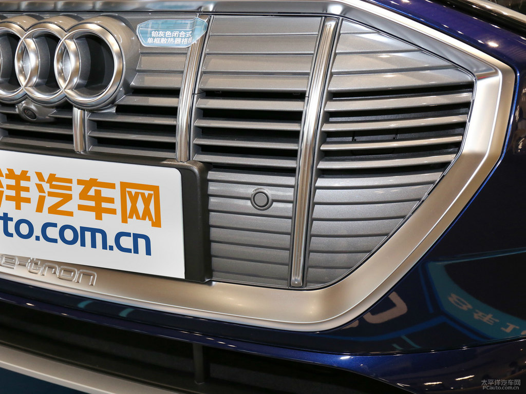 納瓦拉藍奧迪e-tron(進口)車頭外觀圖片