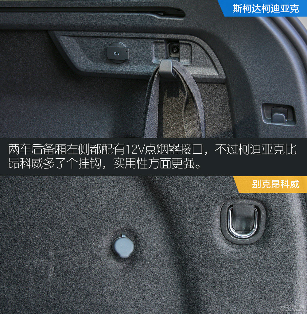柯迪亞克圖片
