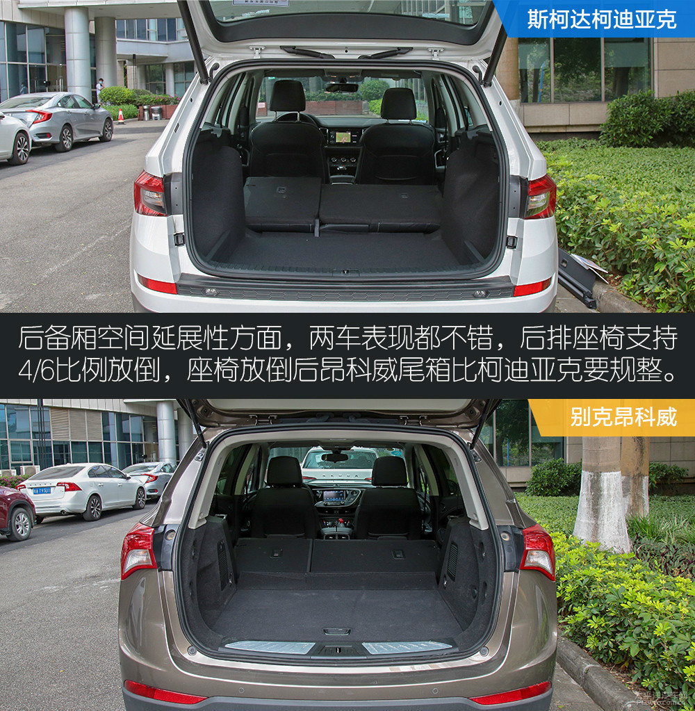 柯迪亞克圖片
