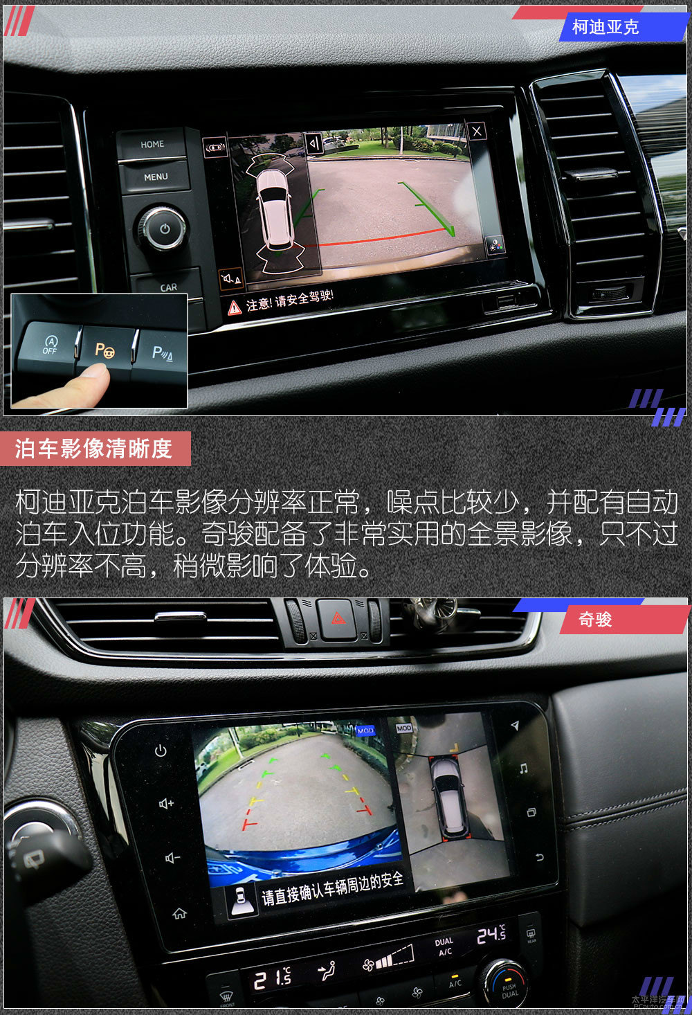 柯迪亞克圖片