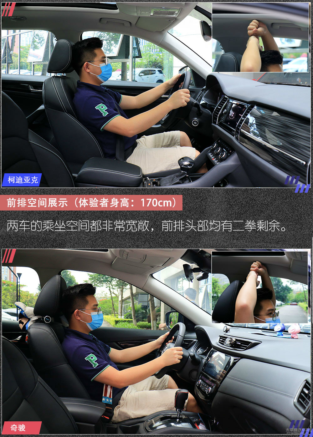 柯迪亞克圖片