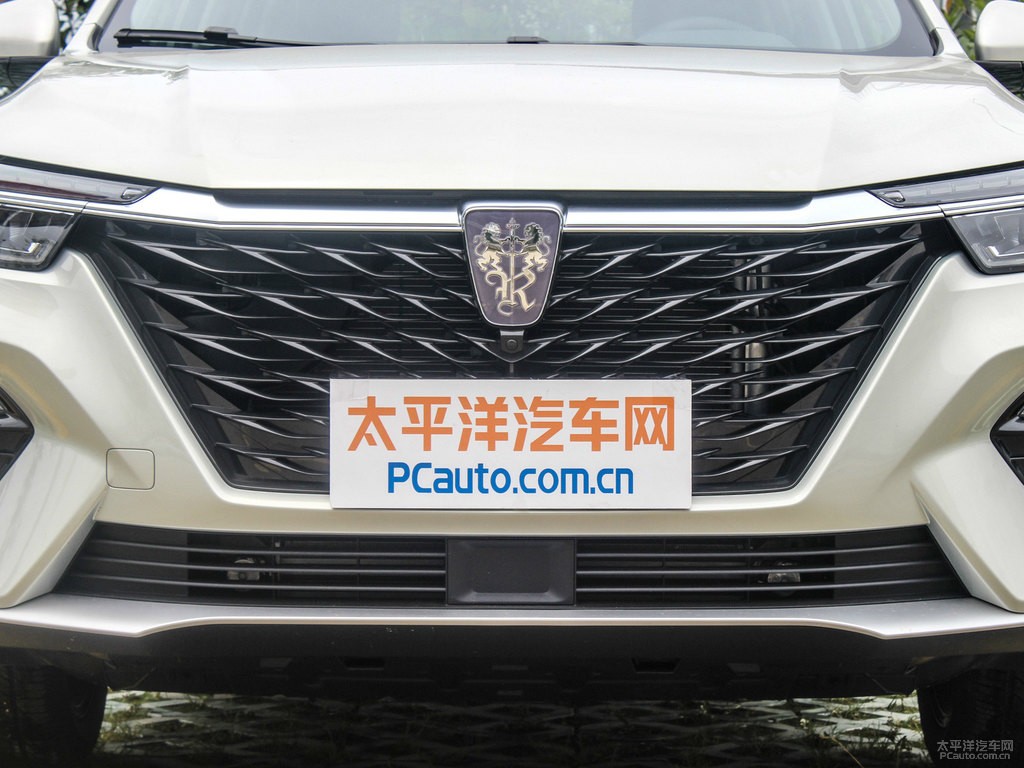 銀葉金榮威RX5車頭外觀圖片