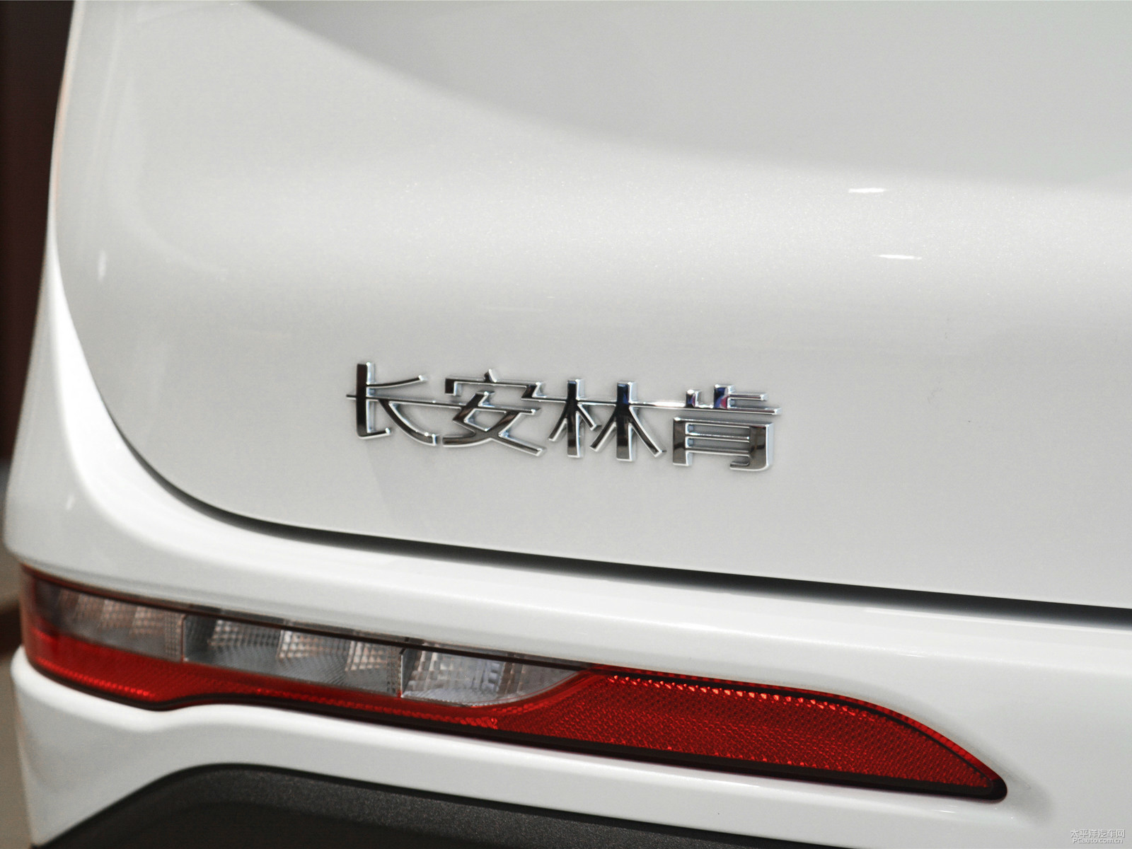 冒險(xiǎn)家外觀高清大圖