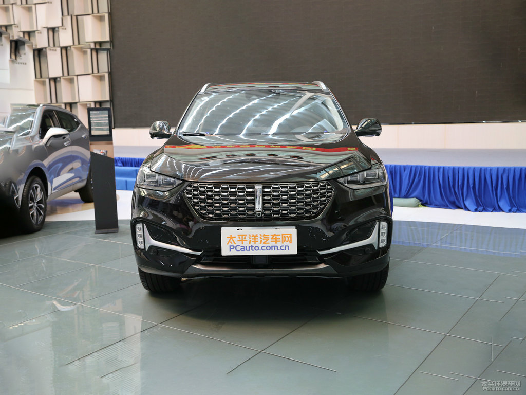 玄英黑魏牌 VV6整車外觀外觀圖片