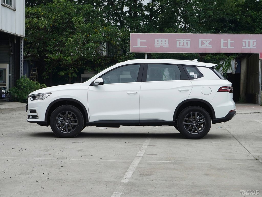 雪域白宋Pro整車外觀外觀圖片