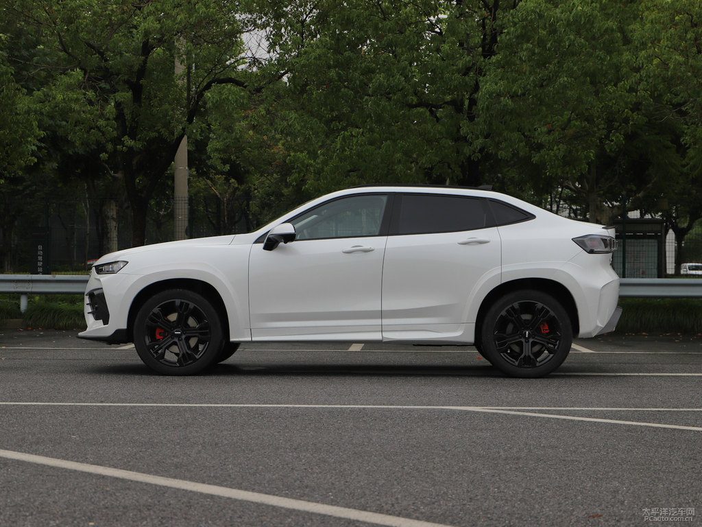 雪域白魏牌 VV7 GT整車外觀外觀圖片
