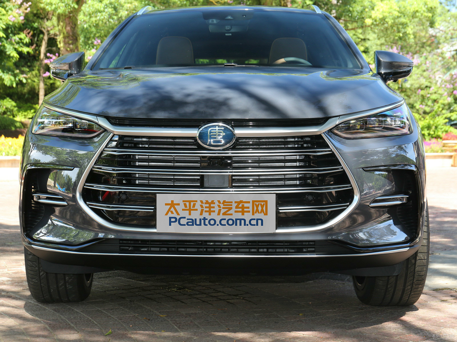 唐新能源外觀高清大圖