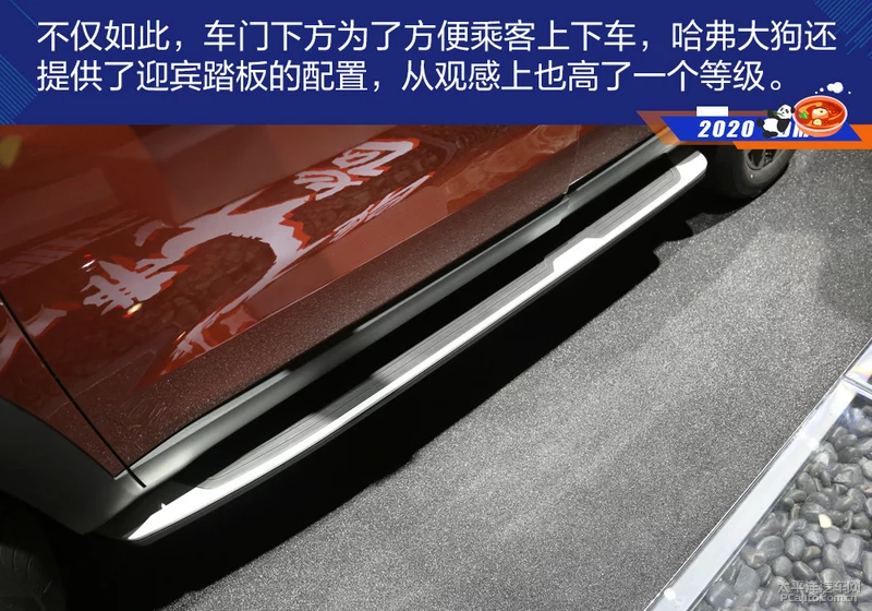 鍝堝紬澶х嫍瀹炴媿瑙ｆ瀽