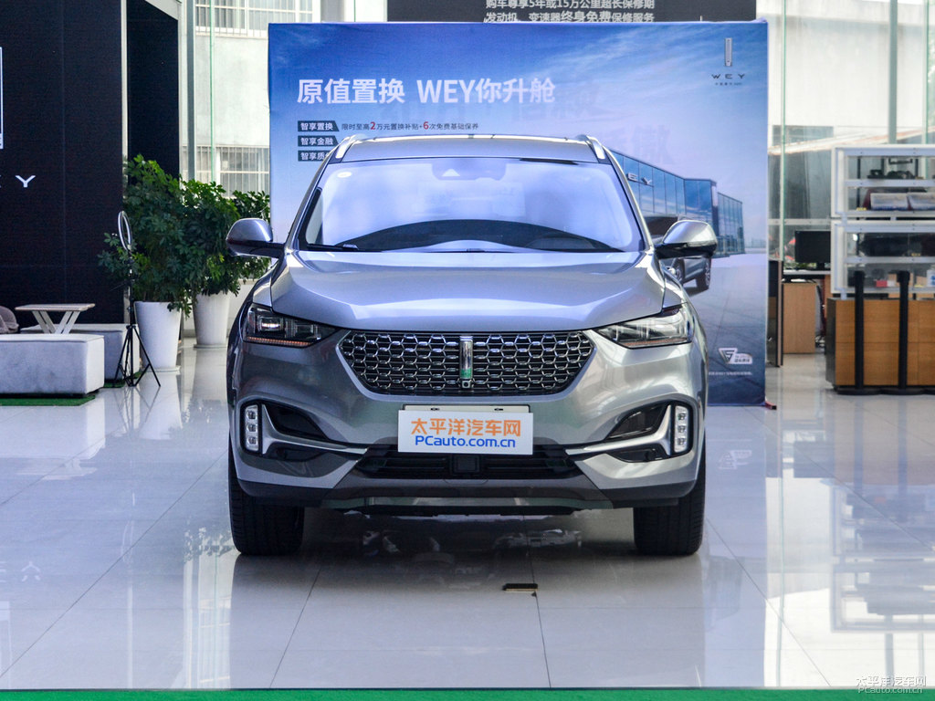 艾爾斯灰魏牌 VV6整車外觀外觀圖片