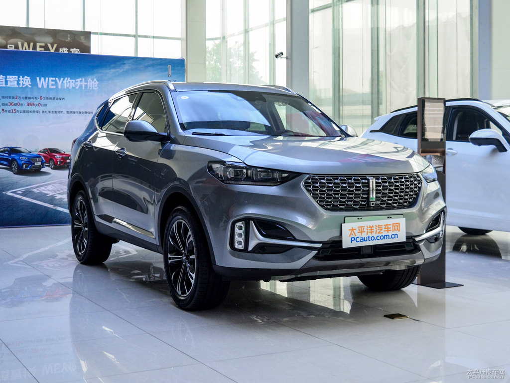 艾爾斯灰魏牌 VV6整車外觀外觀圖片