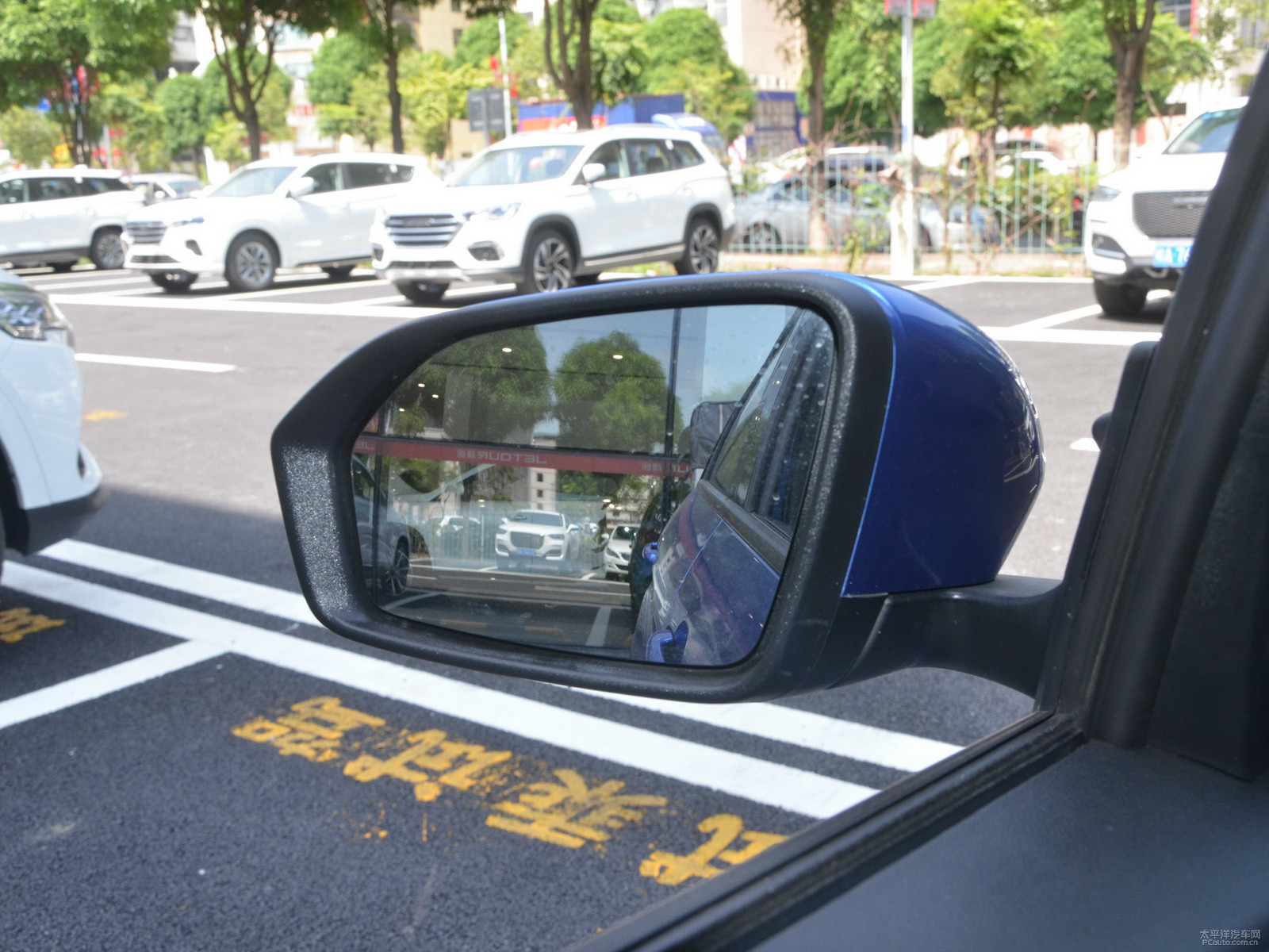 楓葉30x外觀高清大圖