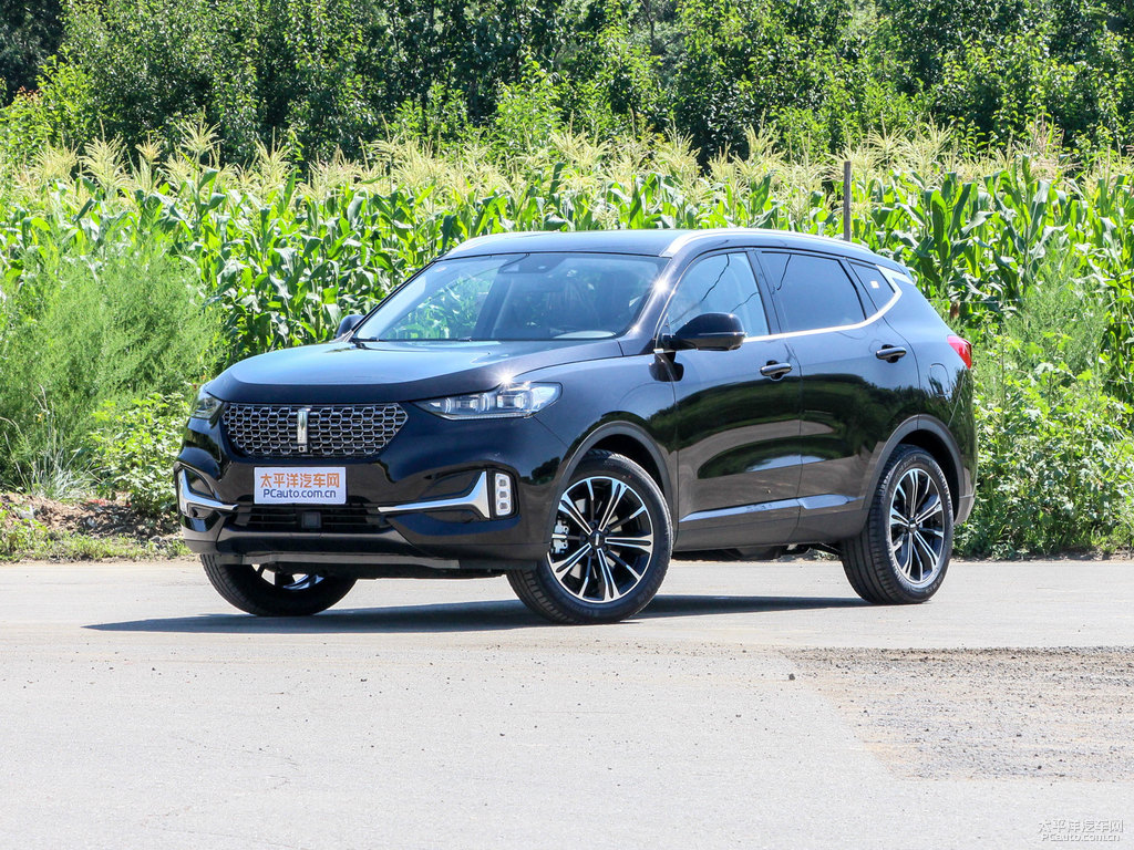 玄英黑魏牌 VV6整車外觀外觀圖片