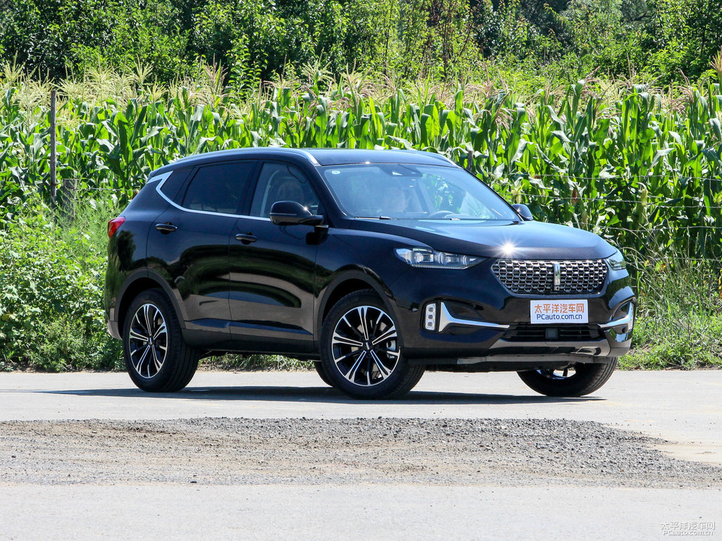 玄英黑魏牌 VV6整車外觀外觀圖片