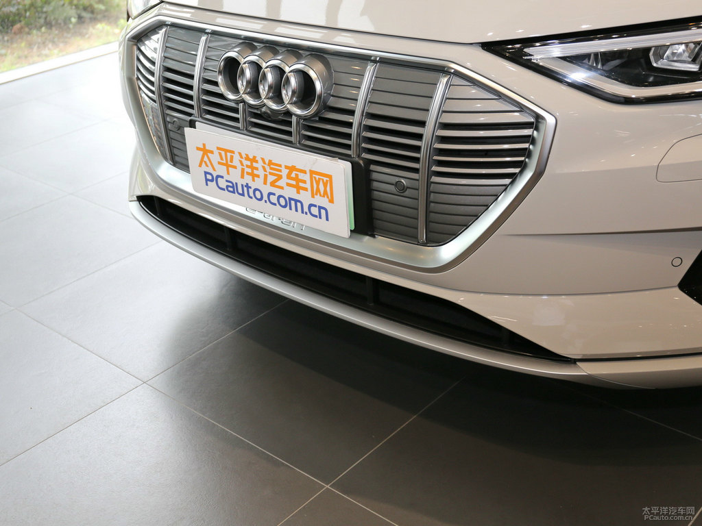 暹羅米奧迪e-tron(進(jìn)口)車頭外觀圖片