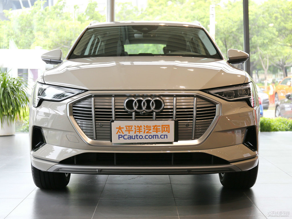 暹羅米奧迪e-tron(進(jìn)口)車頭外觀圖片