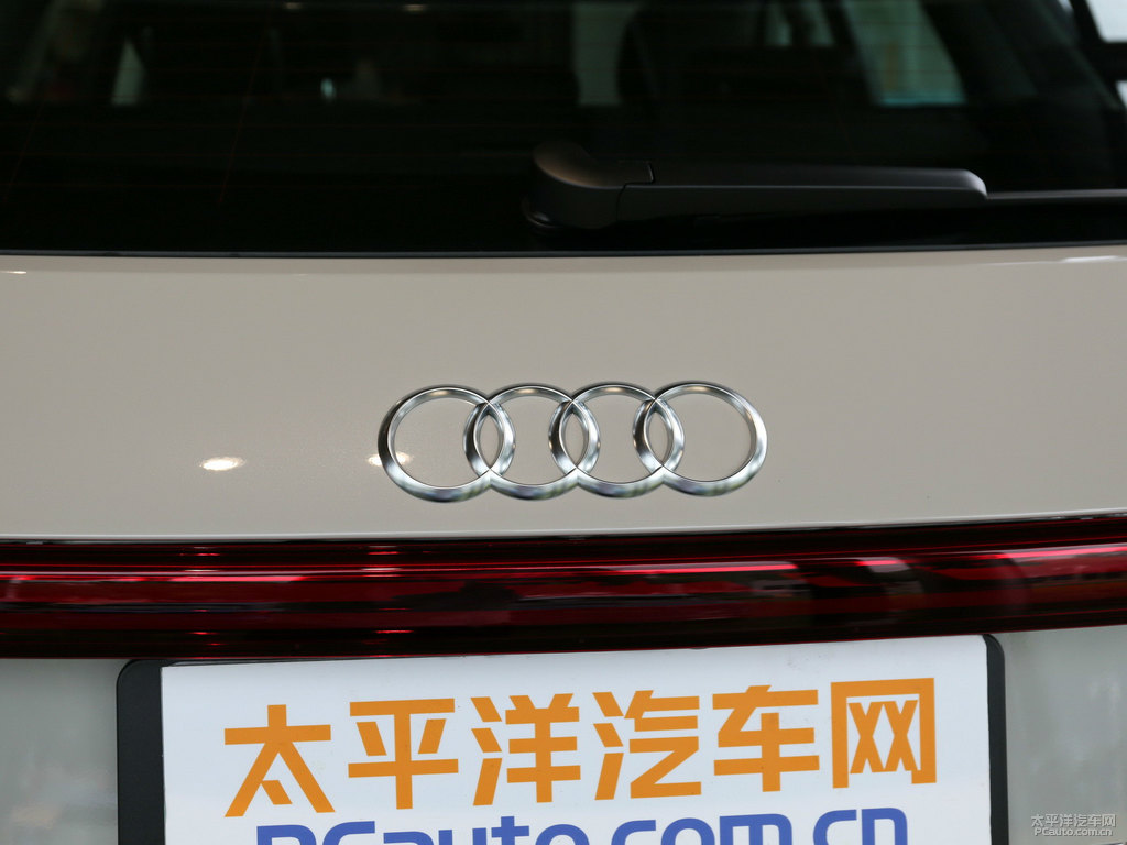 暹羅米奧迪e-tron(進(jìn)口)車尾外觀圖片