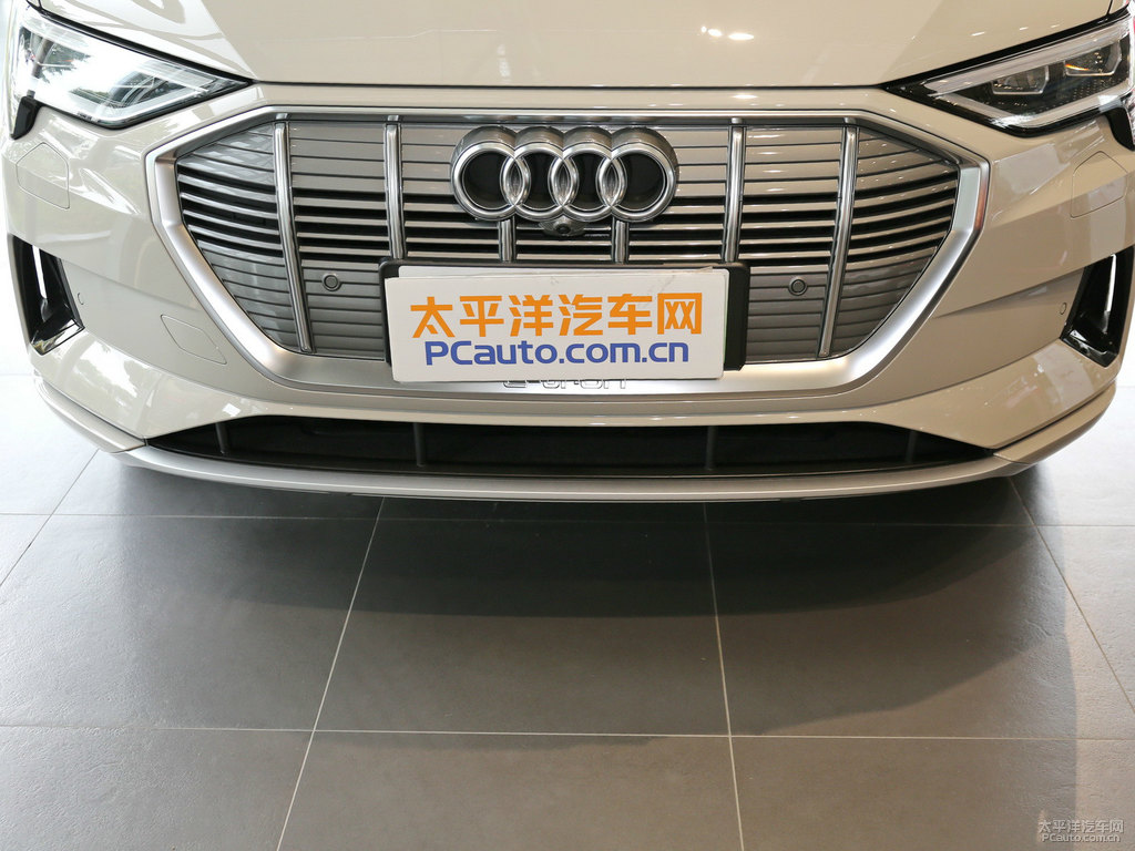 暹羅米奧迪e-tron(進(jìn)口)車頭外觀圖片