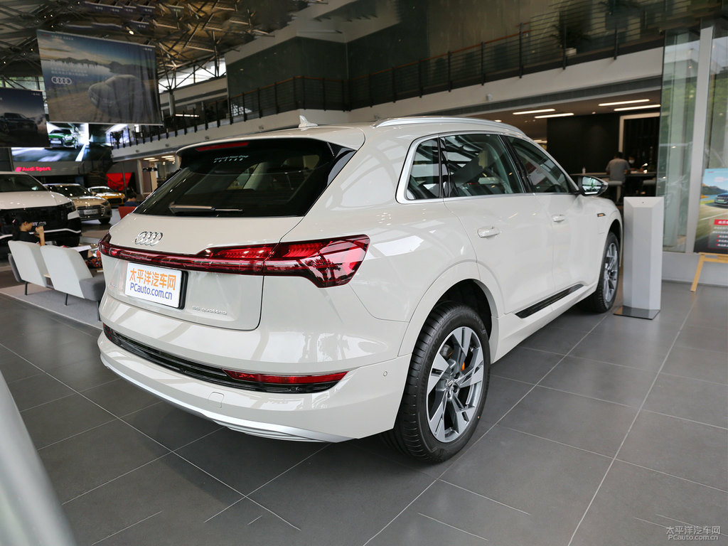 暹羅米奧迪e-tron(進口)整車外觀外觀圖片