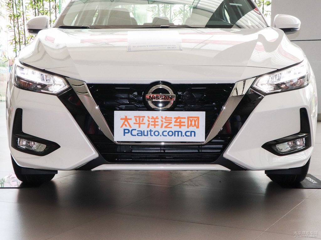 珠光白軒逸車頭外觀圖片