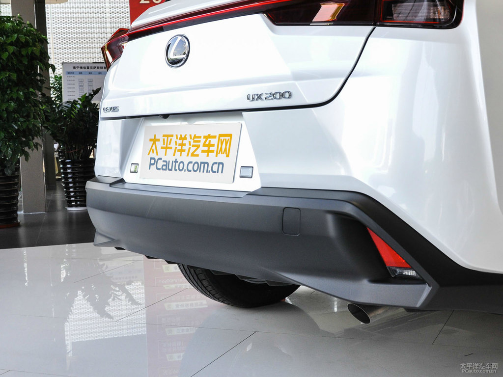 白金灰雷克薩斯UX車(chē)尾外觀圖片