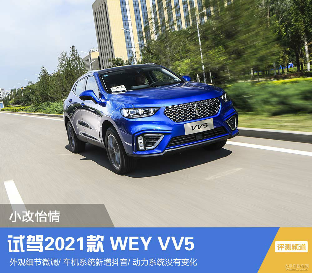 魏牌 VV5圖片