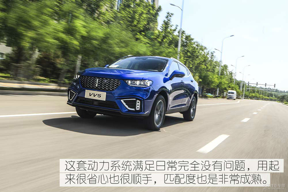 魏牌 VV5圖片