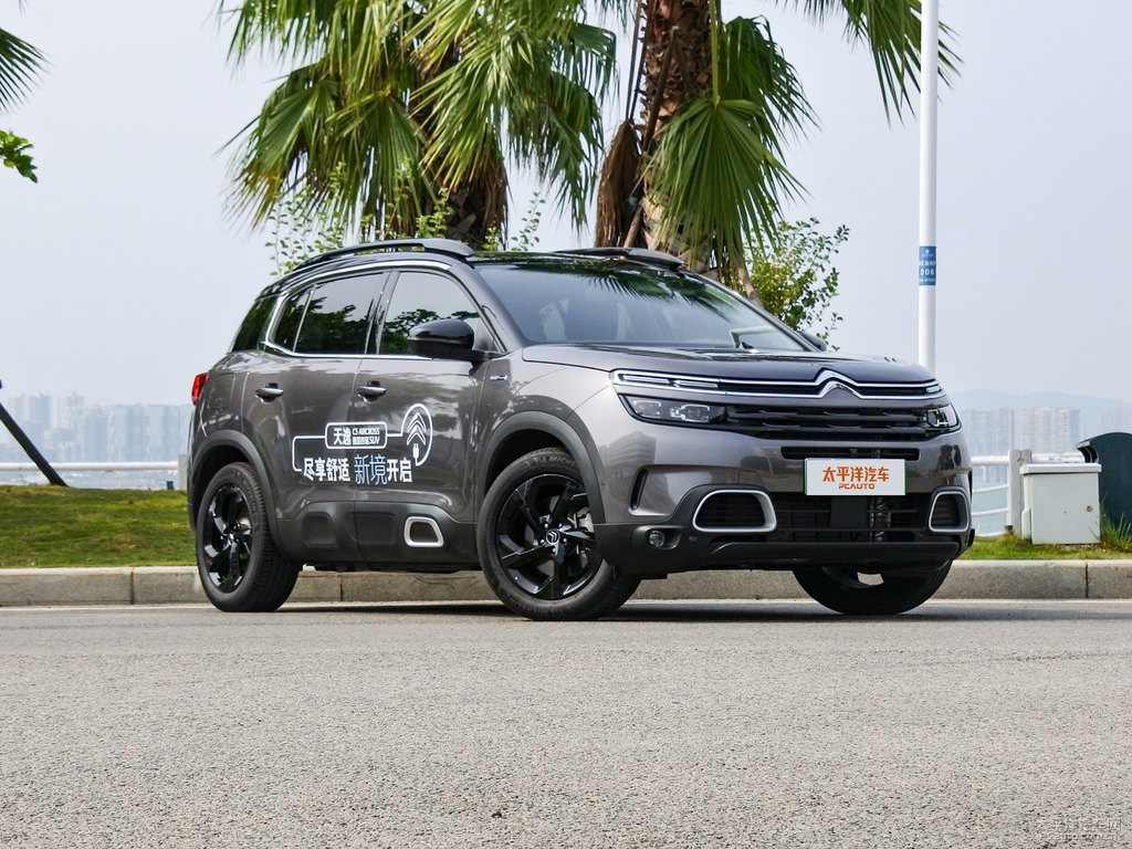 r C5 AIRCROSSԴ܇(ch)^^DƬ