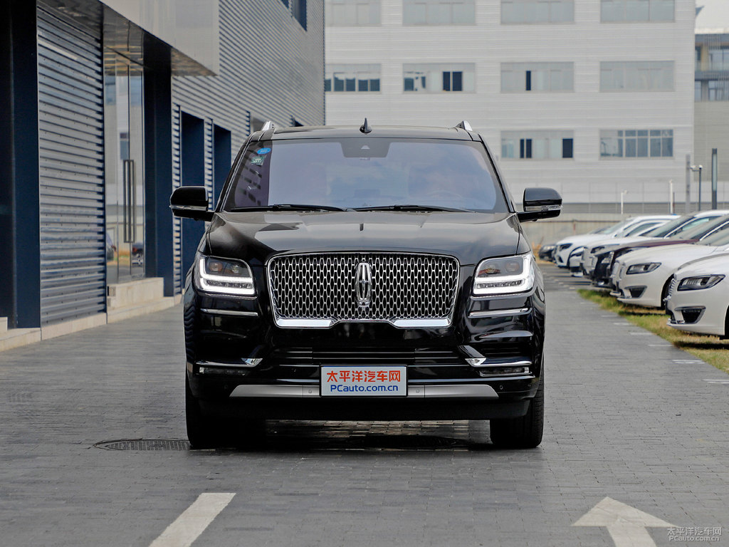 天鵝黑領(lǐng)航員整車(chē)外觀外觀圖片