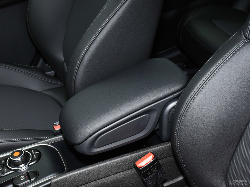 tMINI COUNTRYMAN΃(ni)DƬ
