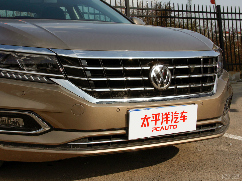 香檳金帕薩特車(chē)頭外觀圖片