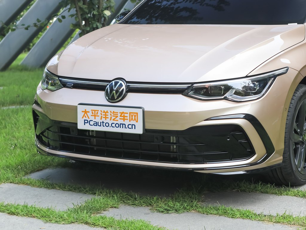 瑪雅金高爾夫車頭外觀圖片