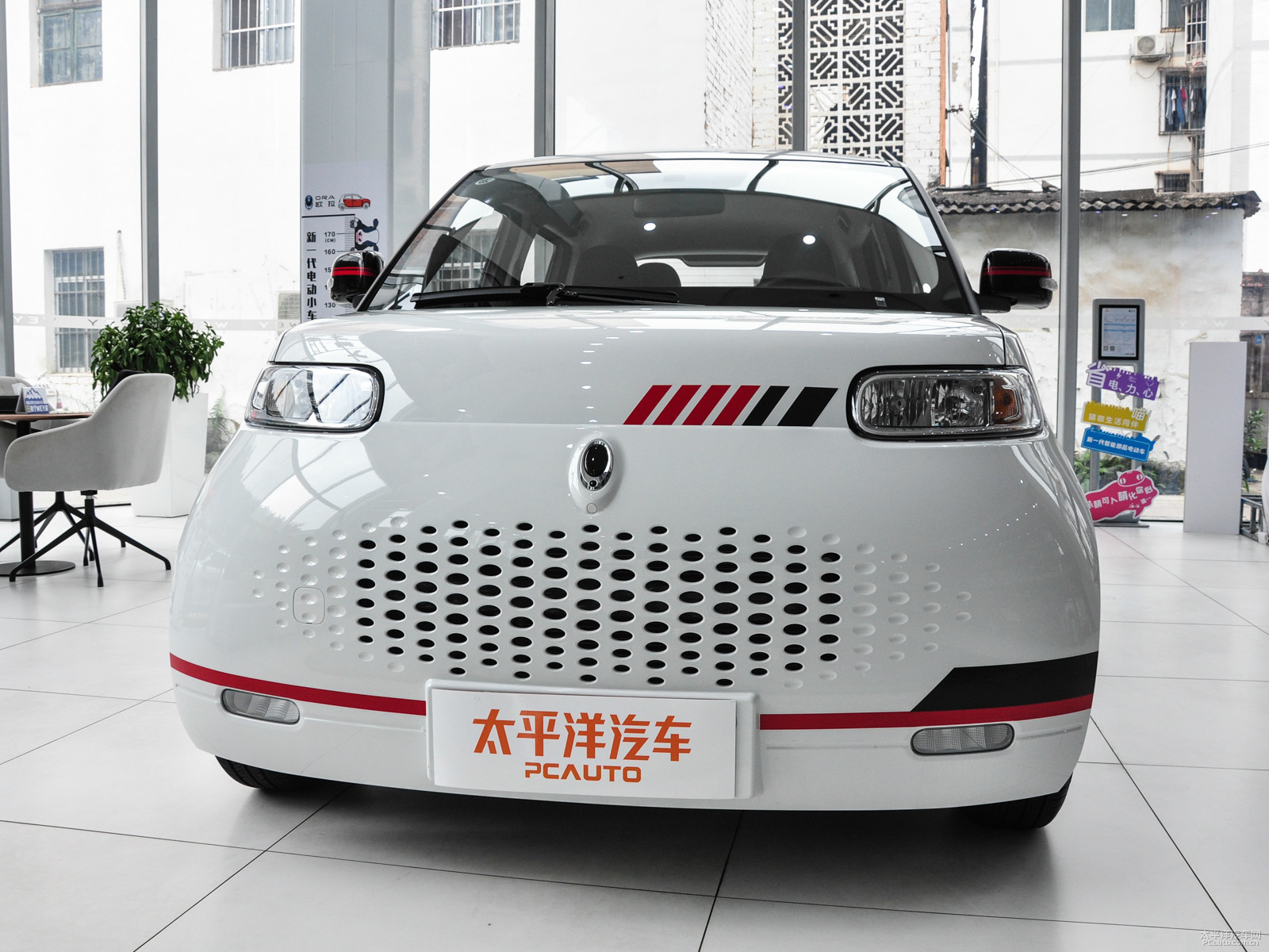 歐拉白貓外觀高清大圖