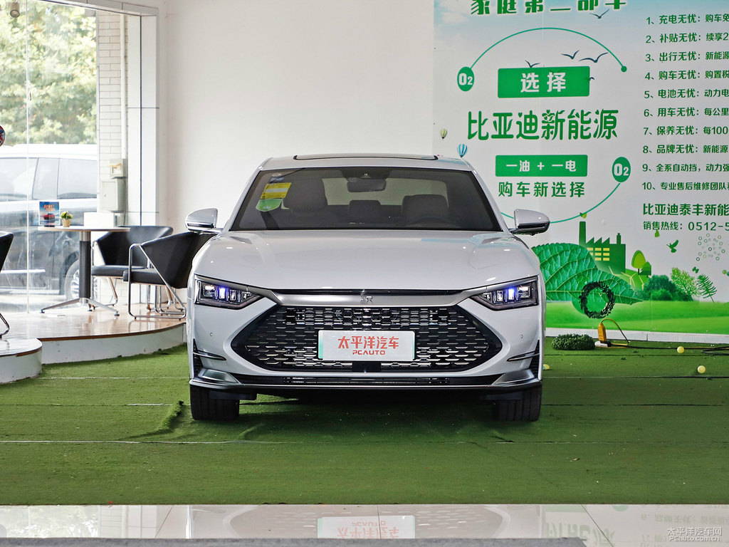 雪域白漢整車外觀外觀圖片