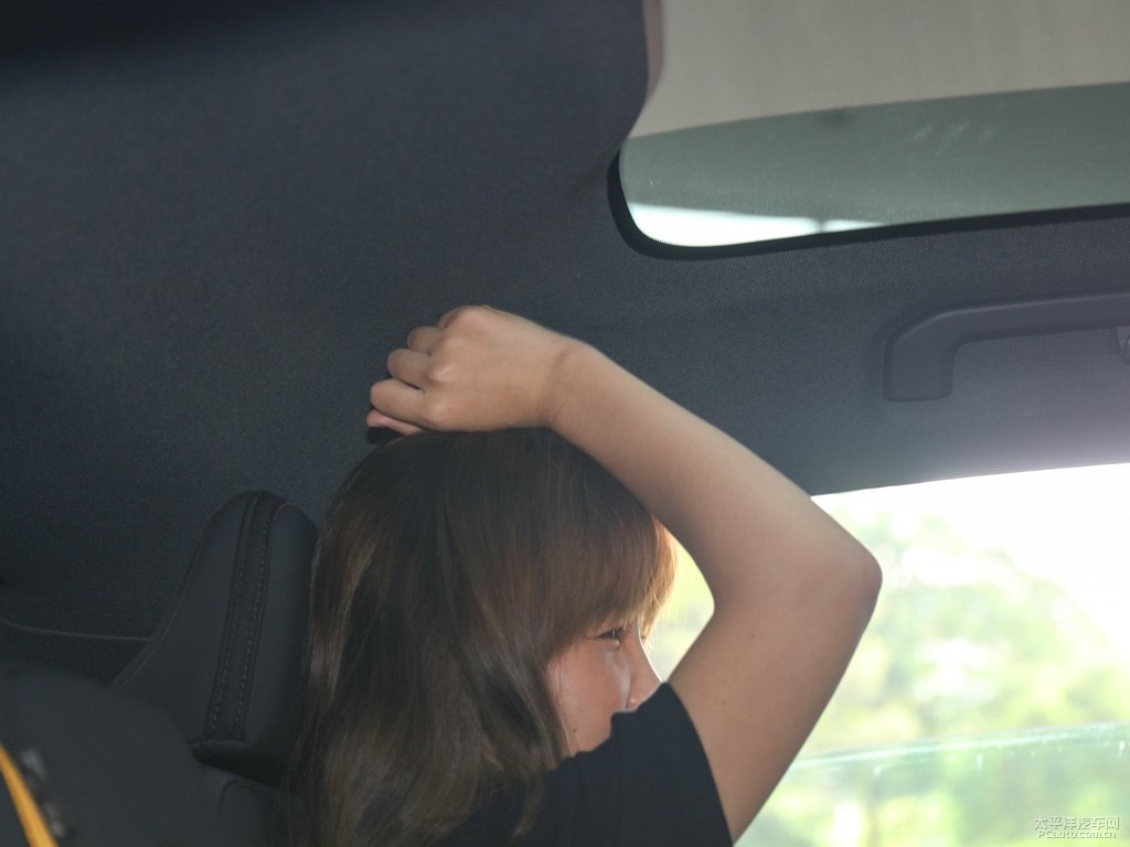 ѩPolestar 2{˿ggDƬ