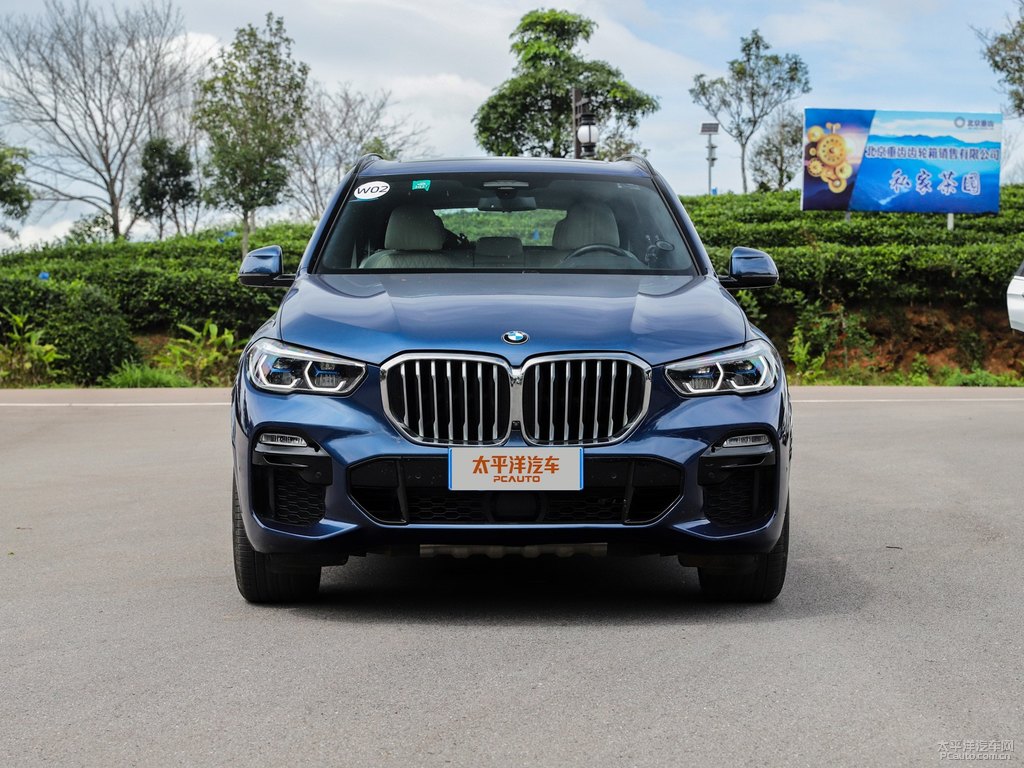 量子藍(lán)寶馬X5(進(jìn)口)整車外觀外觀圖片