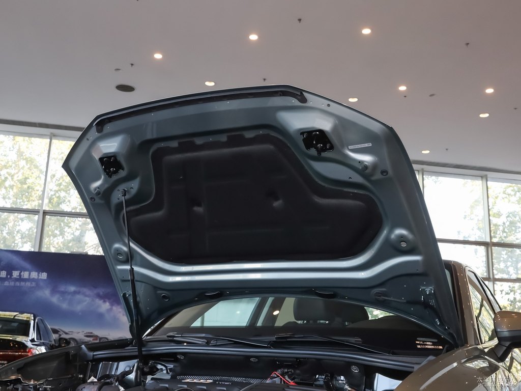 鱷魚(yú)綠奧迪Q3 Sportback發(fā)動(dòng)機(jī)其它細(xì)節(jié)圖片