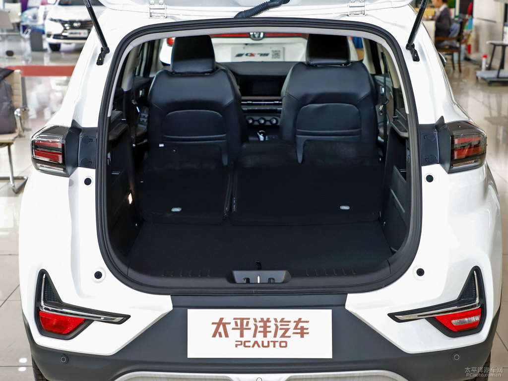 雪域白長(zhǎng)安CS15后備廂空間圖片