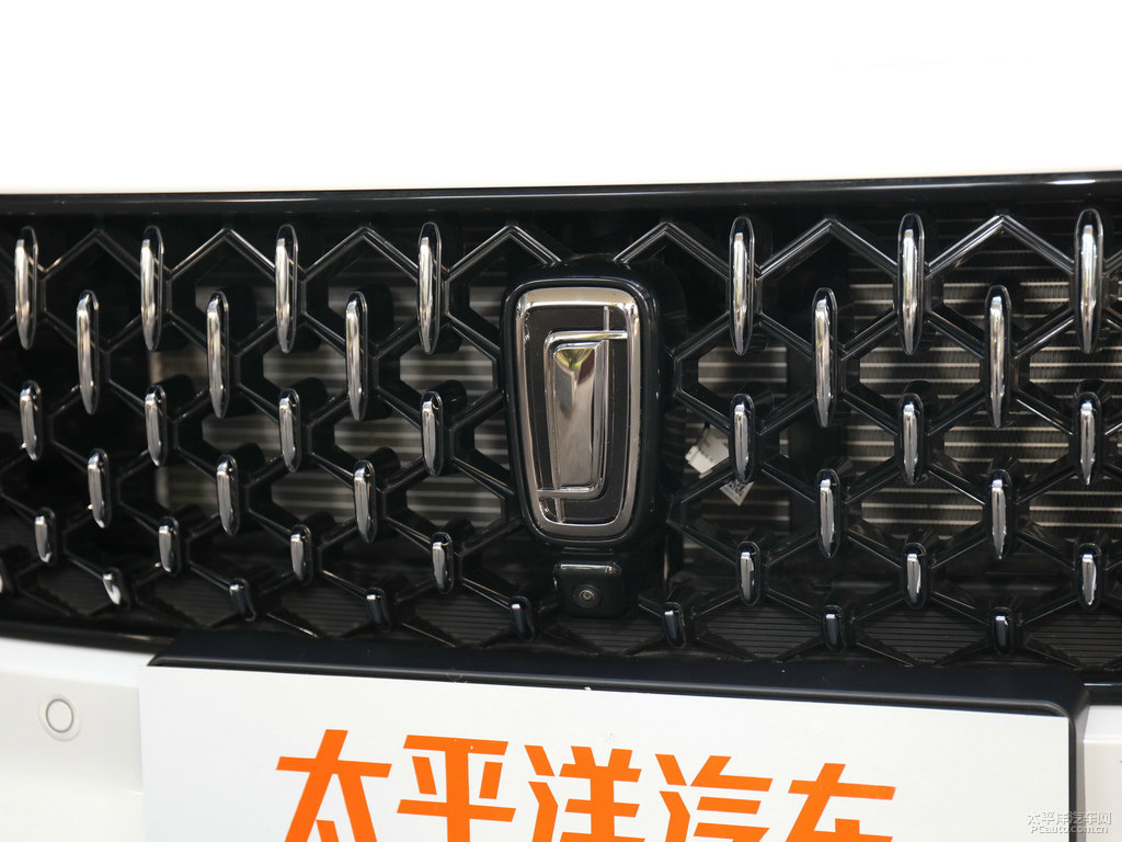 珍珠白奔騰B70車頭外觀圖片