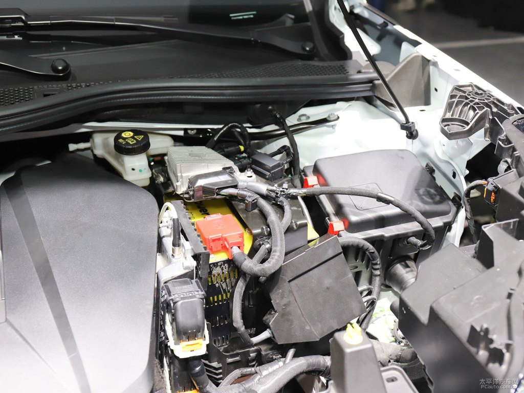 (bio)e2008DƬ
