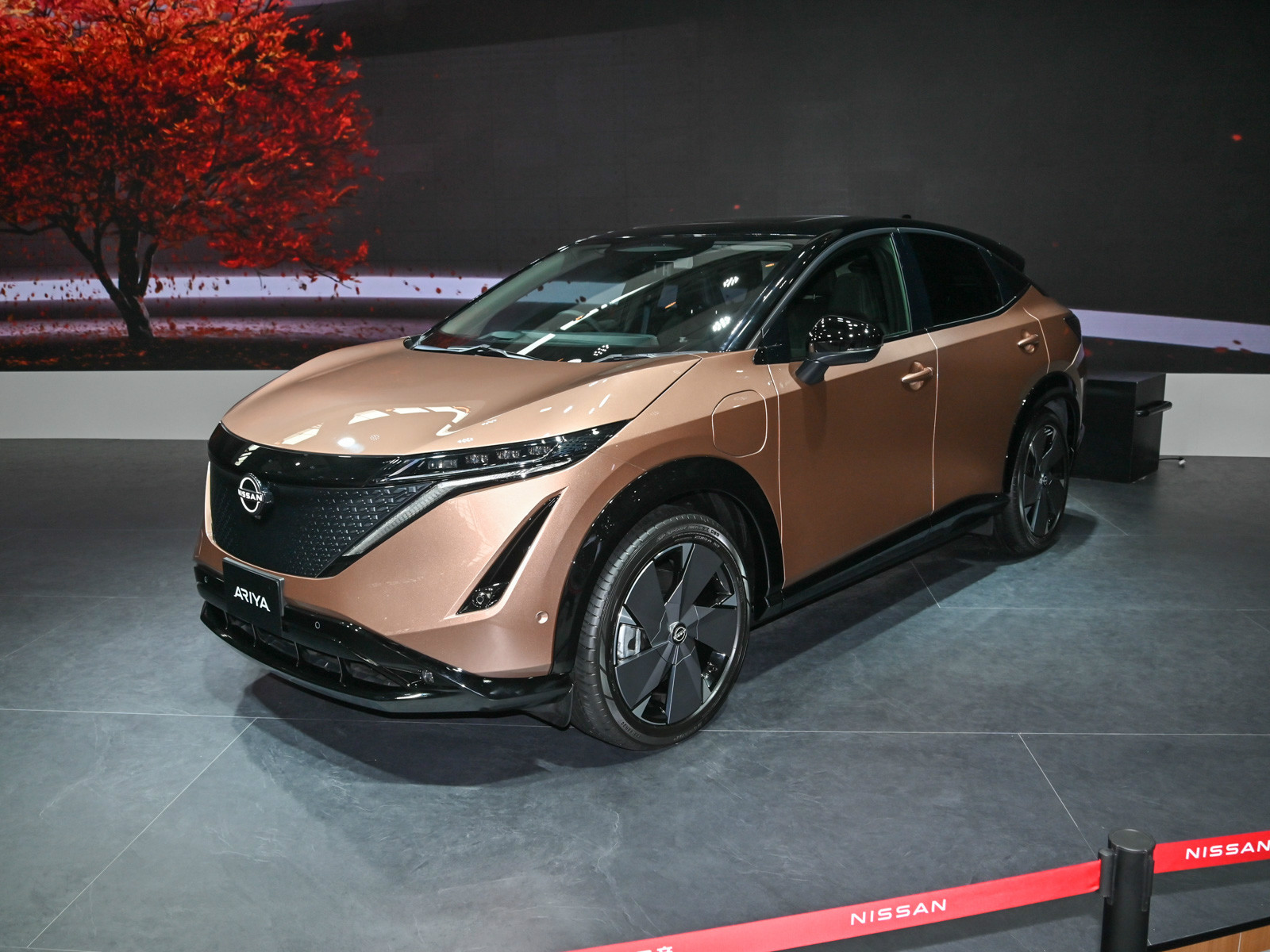 日產(chǎn)Ariya(海外)車展高清大圖