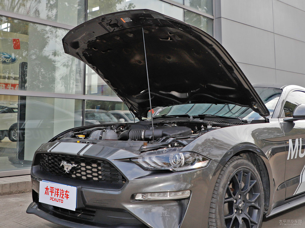 ӰҸMustangl(f)әC(ji)DƬ