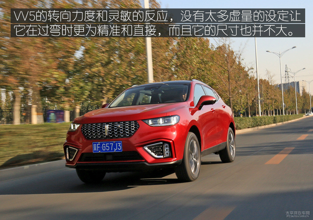魏牌 VV5圖片