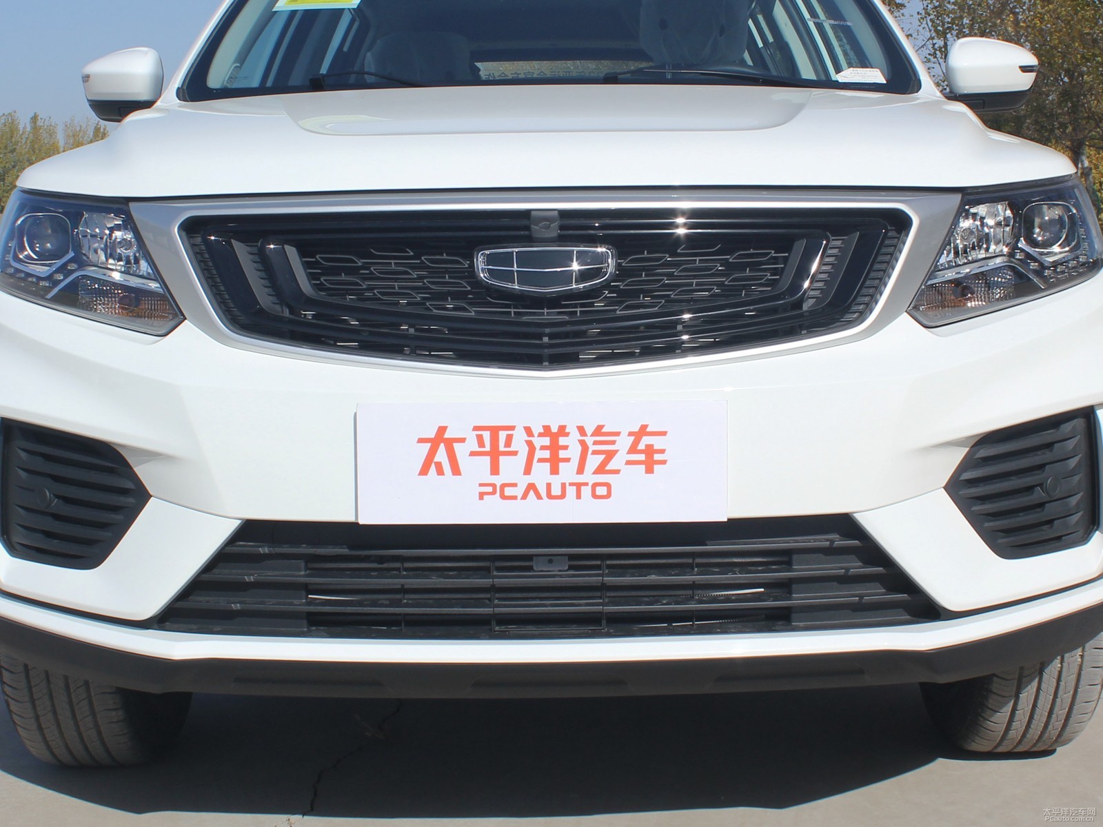 遠(yuǎn)景X6外觀高清大圖