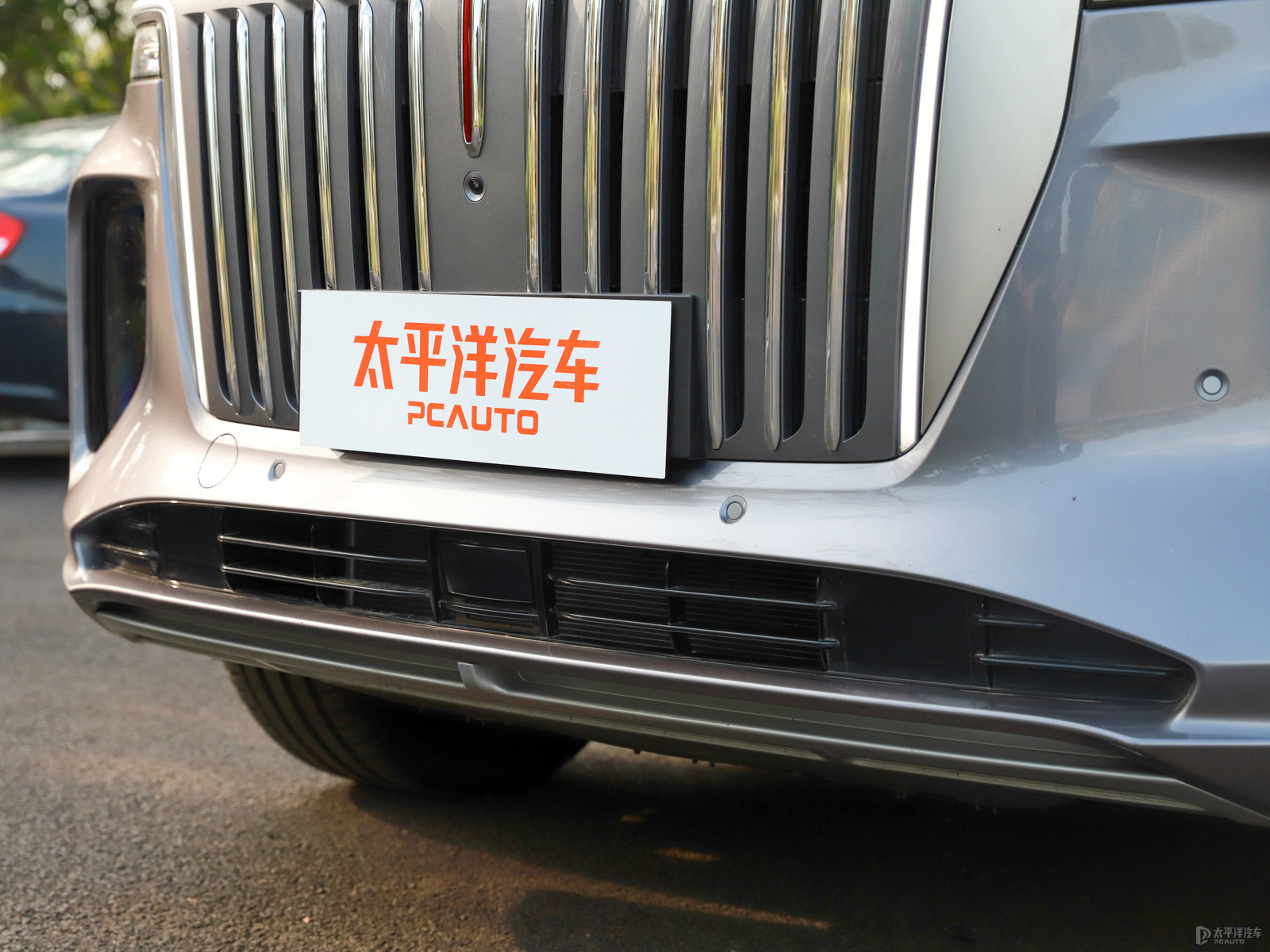 紅旗E-HS9外觀高清大圖