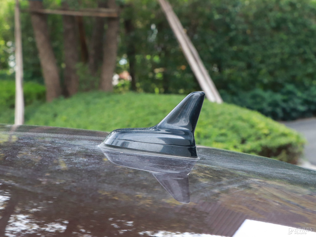 阿拉比卡棕邁騰車身外觀圖片