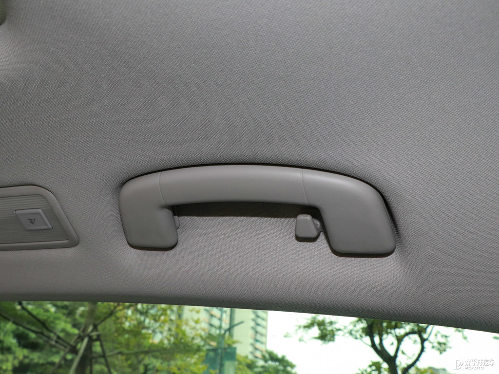 阿拉比卡棕邁騰車廂內飾圖片