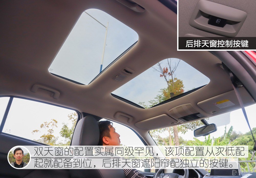 奕歌圖片