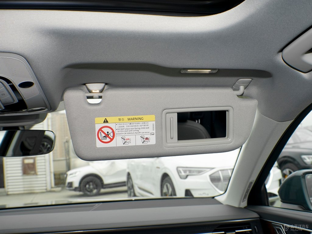 阿瓦隆綠奧迪A6(進口)車廂內飾圖片